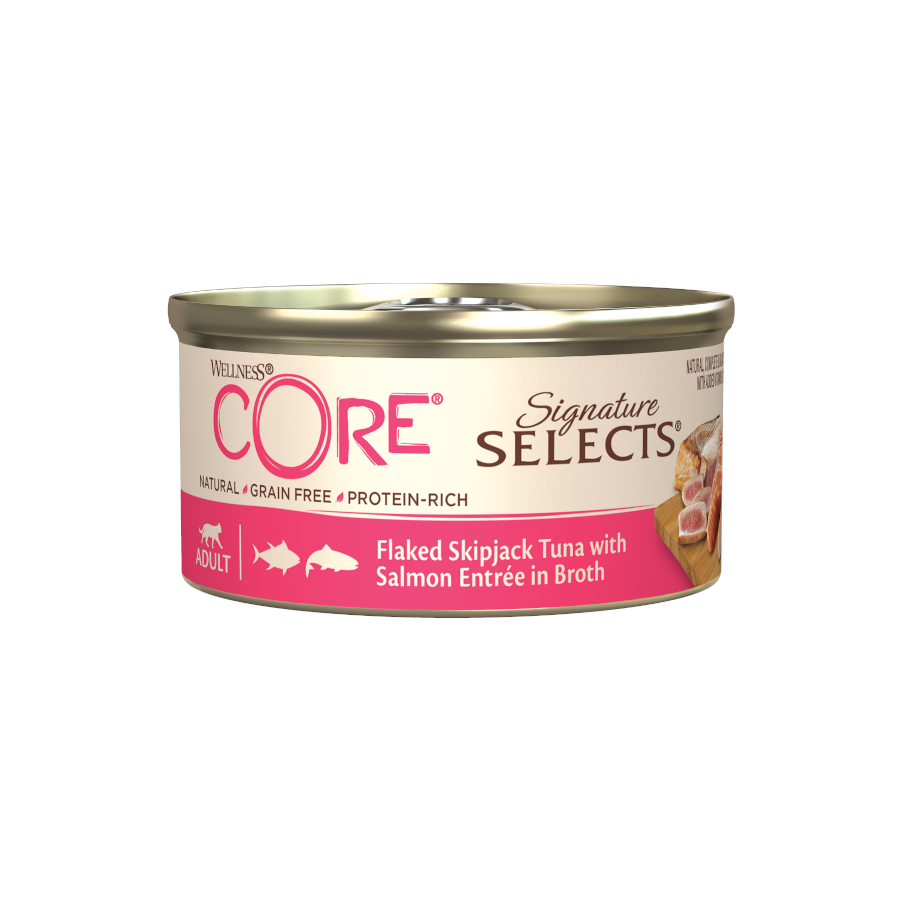 Wellness Core Flaked Salmão em lata para gatos